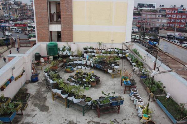 Oh no the image is broken