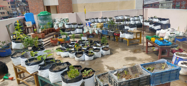 Oh no the image is broken