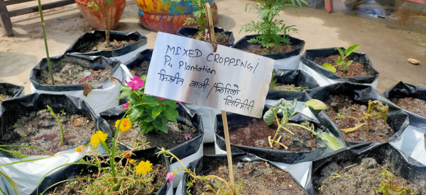 Oh no the image is broken