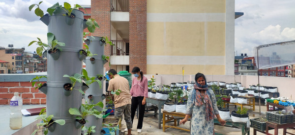 Oh no the image is broken