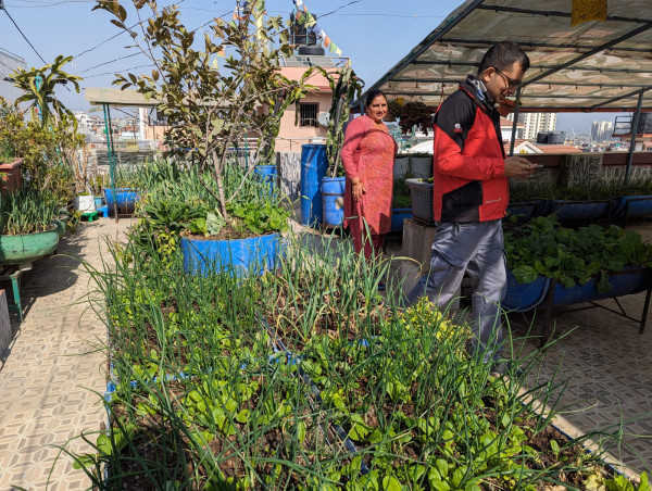 Oh no the image is broken